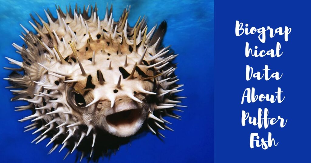 Biographical Data About Puffer Fish